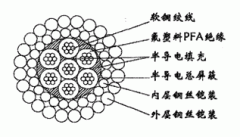 W7PFAPP-12.04mm氟塑料PFA絕緣雙鋼絲鎧裝承荷探測電纜