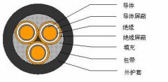 3*2.5，3*3，3*4，3*6，3*10，3*16，3*25屏蔽電纜結構圖