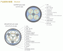 DJYPVP32,DJYP2V32,DJYVP2-32,DJYP2VP2-32鋼絲鎧裝計(jì)算機(jī)電纜